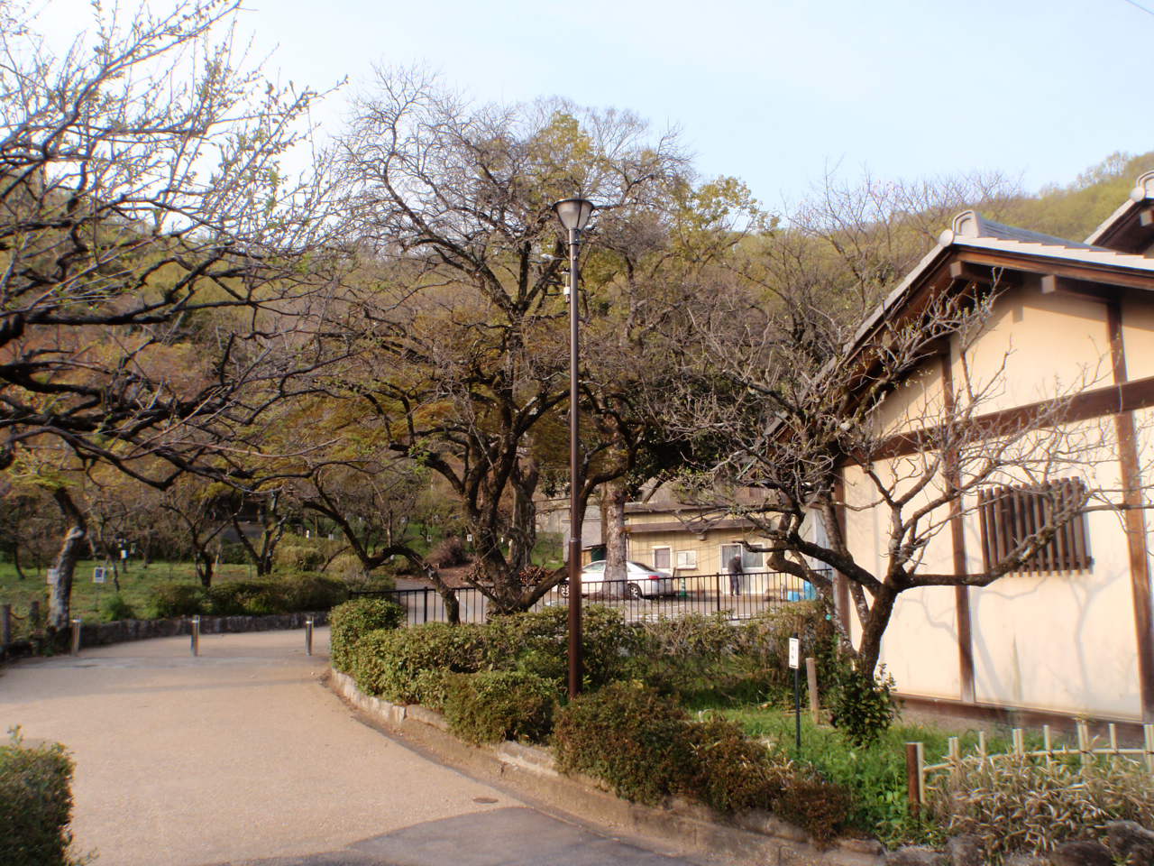 岐阜市公園照明灯